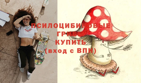 мяу мяу мука Новозыбков
