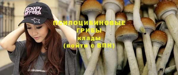 мяу мяу мука Новозыбков