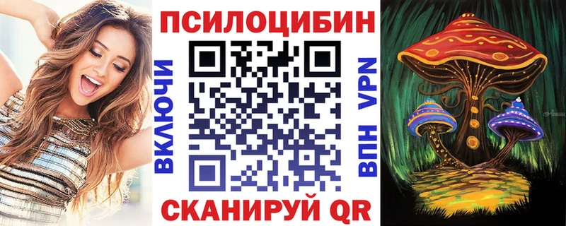 где купить Скопин блэк спрут ONION Псилоцибиновые грибы MAGIC MUSHROOMS