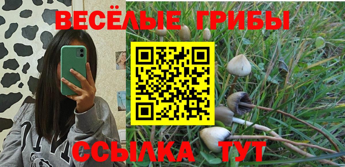 где купить наркоту  Скопин  Галлюциногенные грибы мицелий 