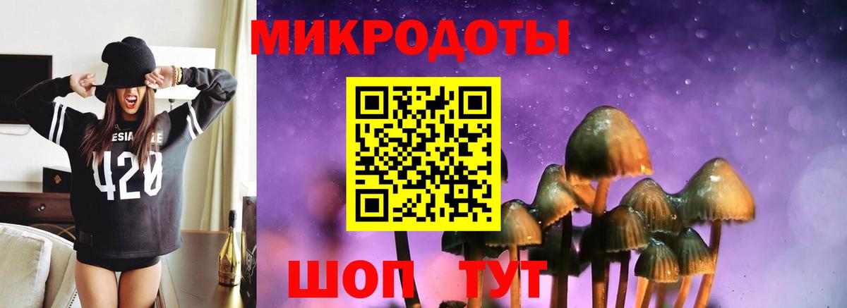 Скопин  Псилоцибиновые грибы MAGIC MUSHROOMS  Вход с VPN 