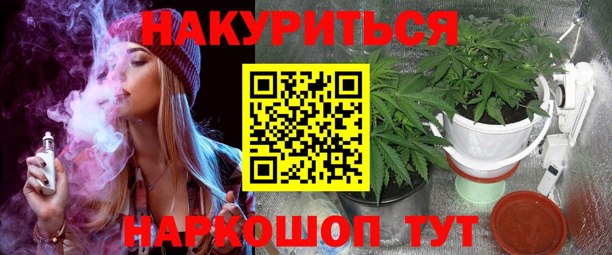 Каннабис Bruce Banner  Канабис SATIVA & INDICA  Вход с VPN  Скопин  Каннабис VHQ  Канабис SATIVA & INDICA 